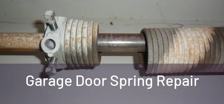  Garage Door Spring Repair 