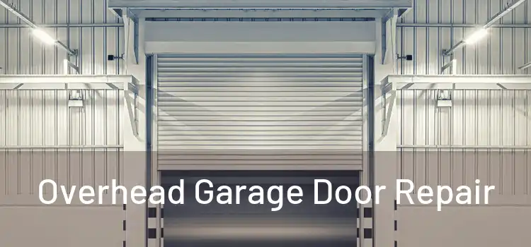  Overhead Garage Door Repair 